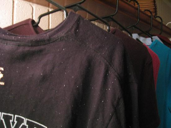 琪琪的天堂主图