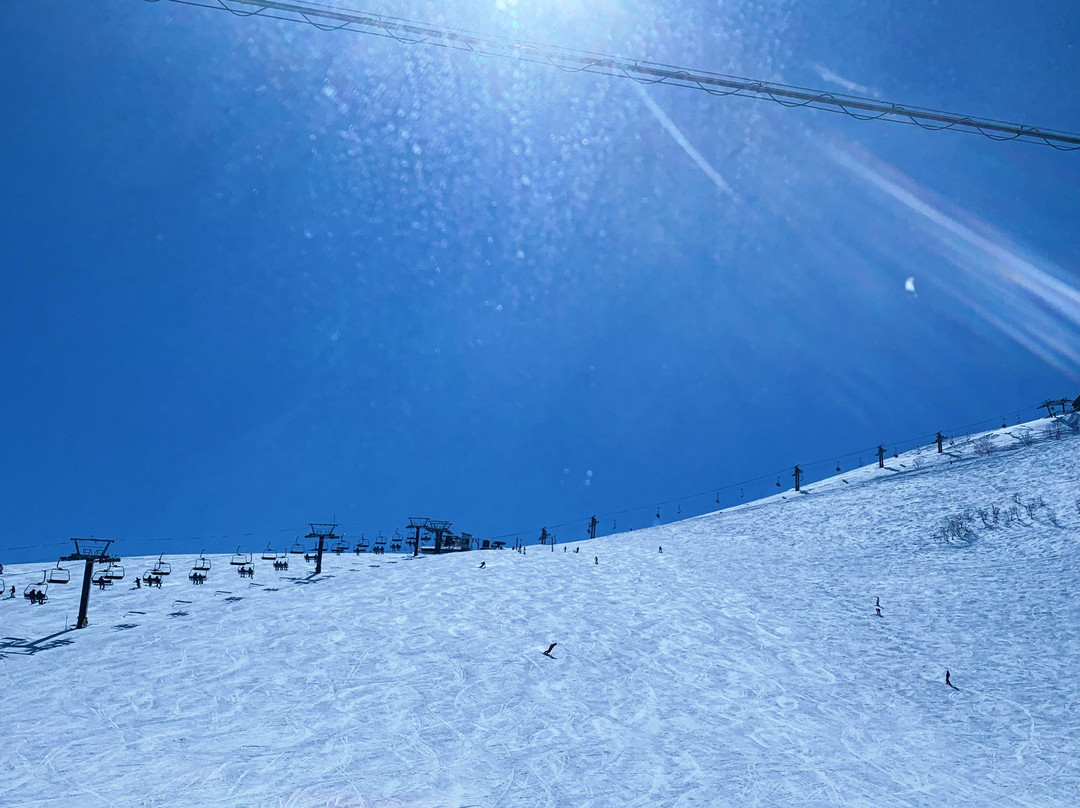 信州白马八方温泉 白马庄主图