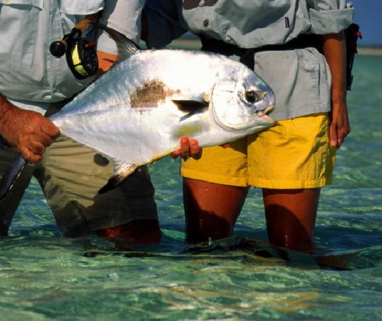 Rickmon Bonefish Lodge主图