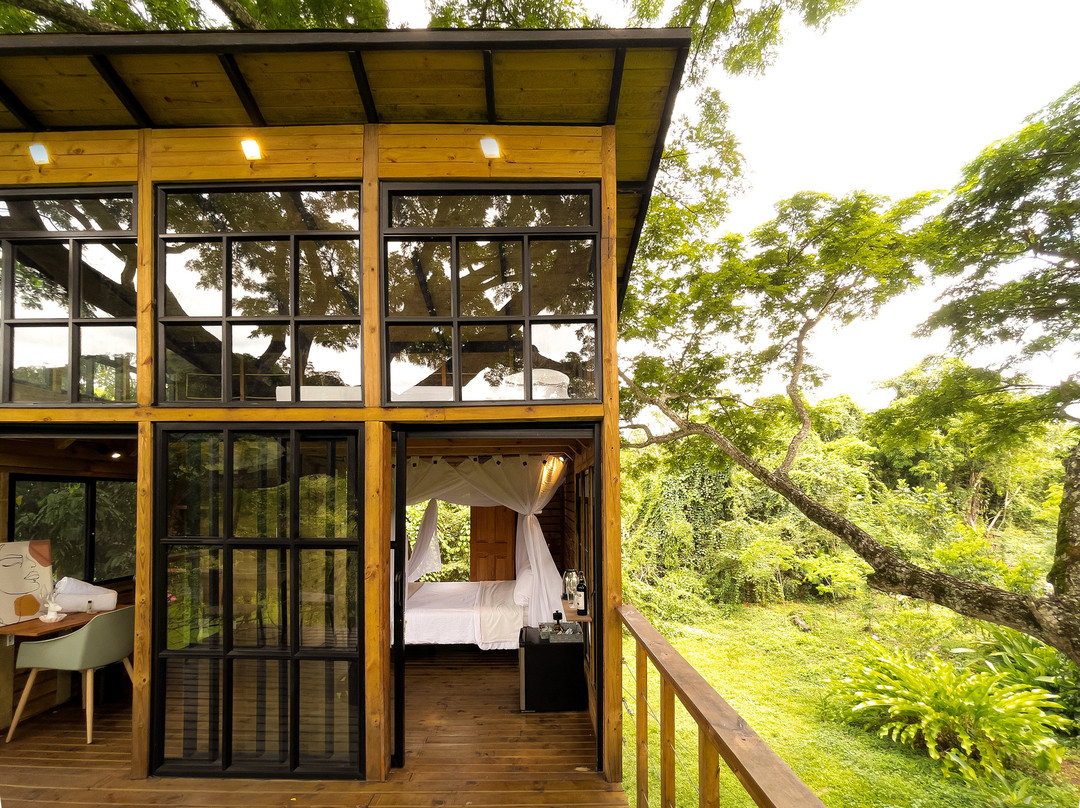 Hostal Dosis Verde