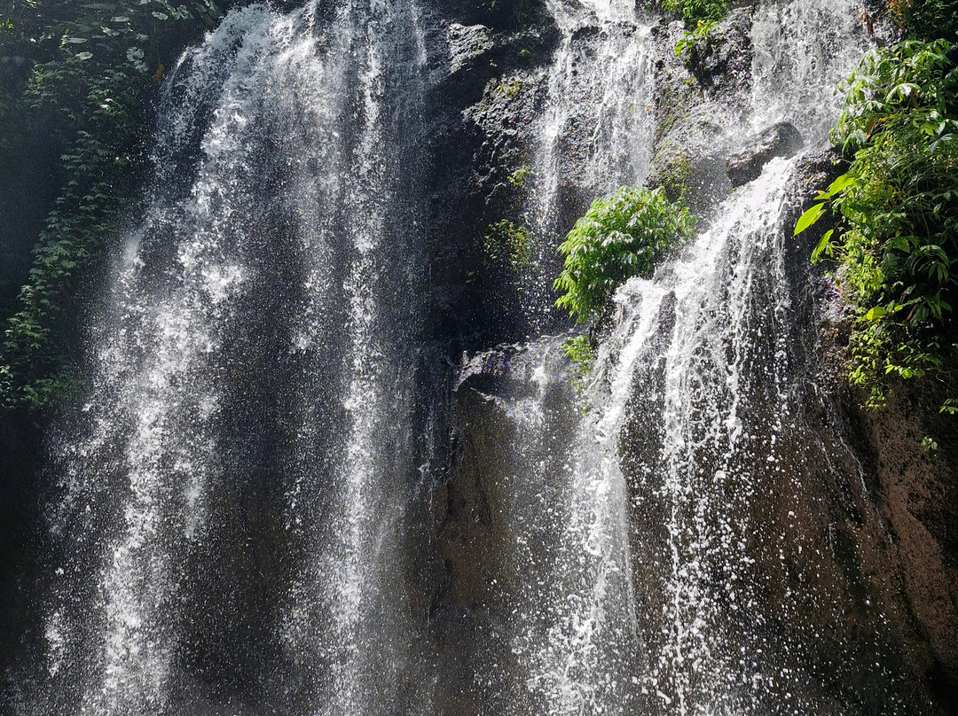 Bali Reiseleiter Fahrer景点图片