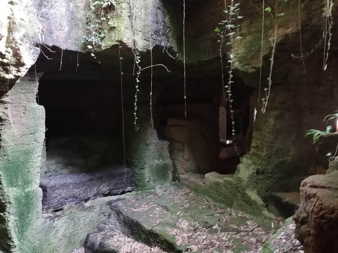 Troglodytes & Sarcophages景点图片