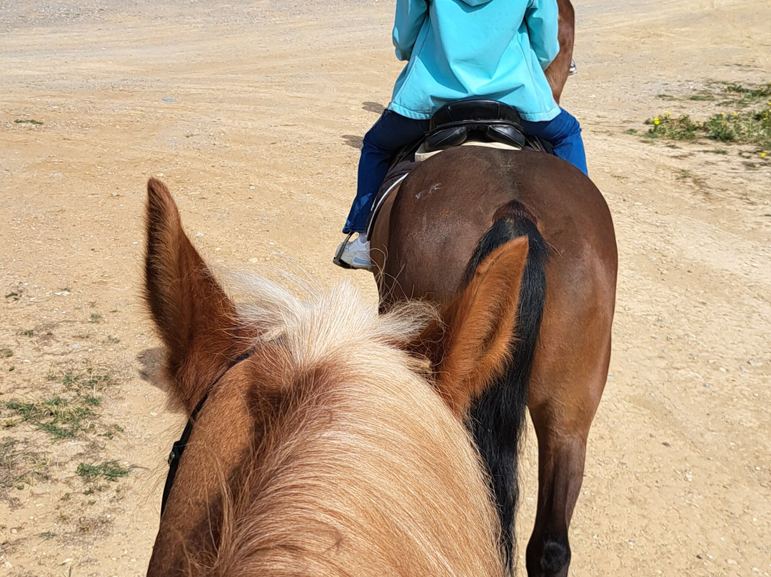 Riding Academy of Crete - Ippikos Riding Club-Karteros必去景点