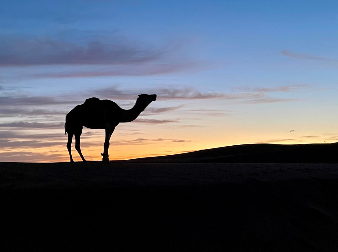 Wild Morocco-扎古拉必去景点