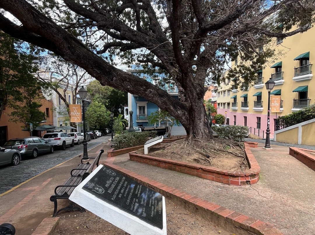 Plaza de la Catedral-圣胡安必去景点