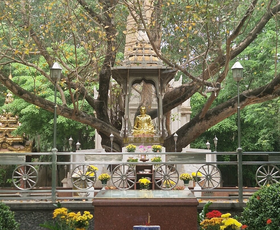 Buu Long Temple-胡志明市必去景点