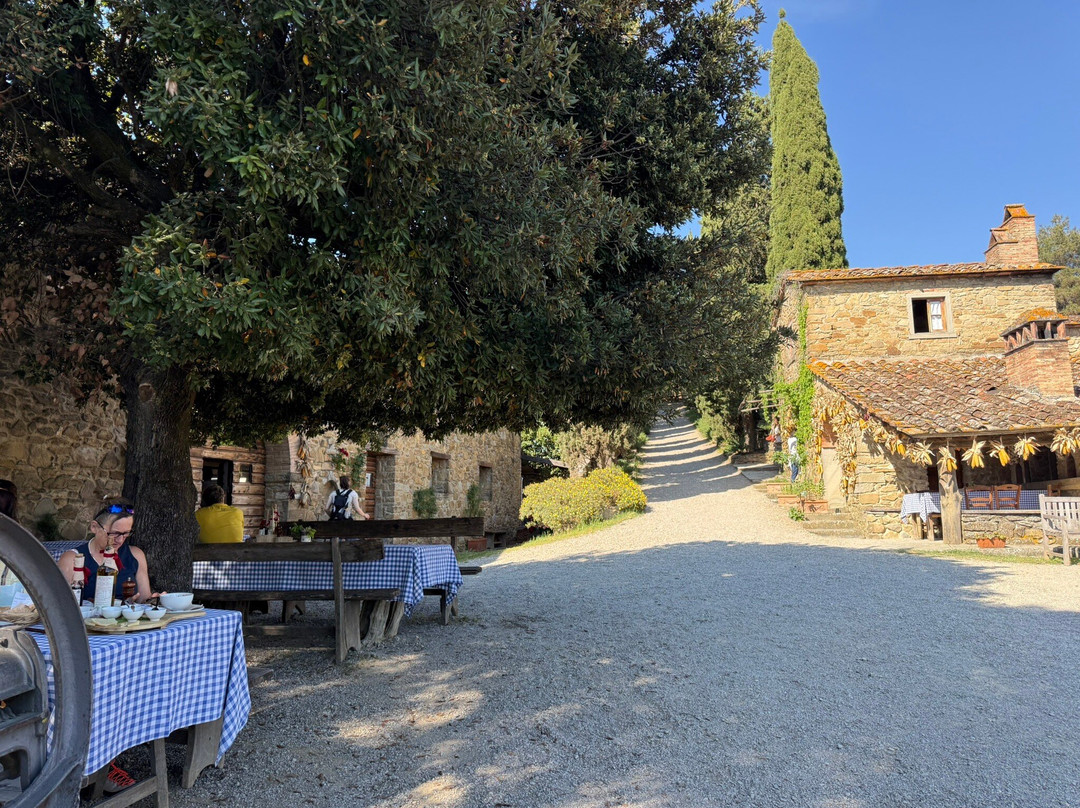 Fattoria La Vialla景点图片