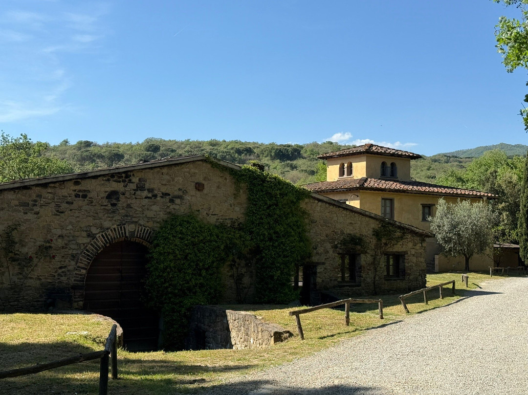 Fattoria La Vialla景点图片
