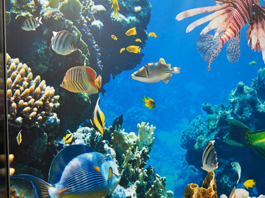 碧海怀特桑德美爵酒店主图