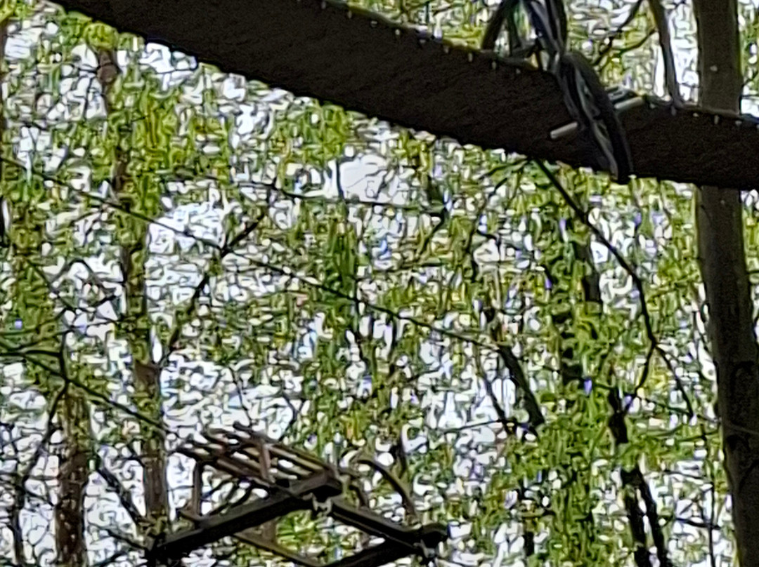 Freizeitpark Betzenstein-Betzenstein必去景点