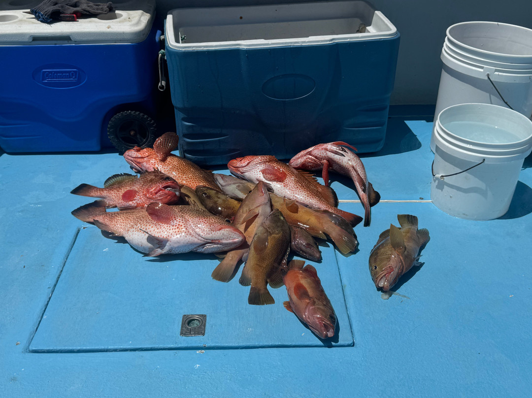 Bermuda Reef Fishing-百慕大必去景点