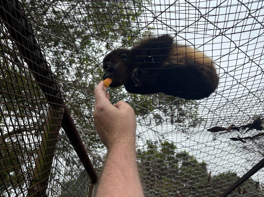 Jungla de Panama Wildlife Refuge景点图片