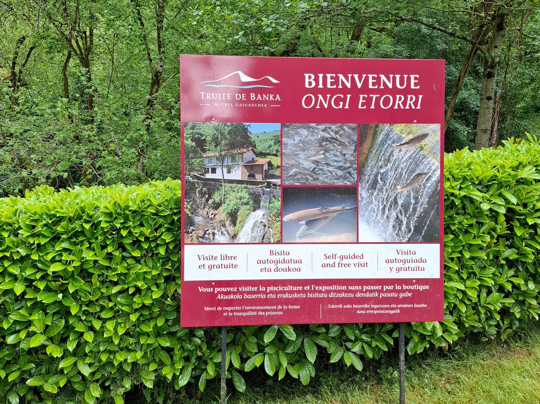 Truite de Banka-Banca必去景点