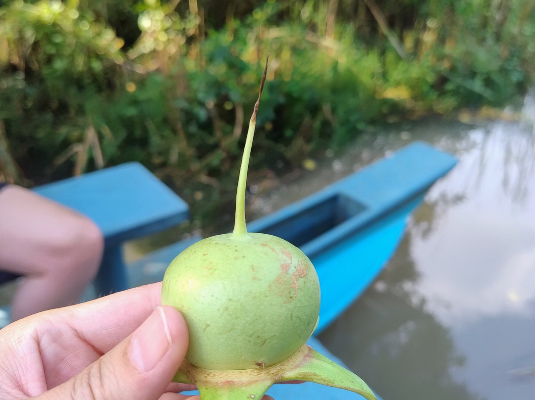 Kalametiya Lagoon Bird Sanctuary & Wetland Park景点图片