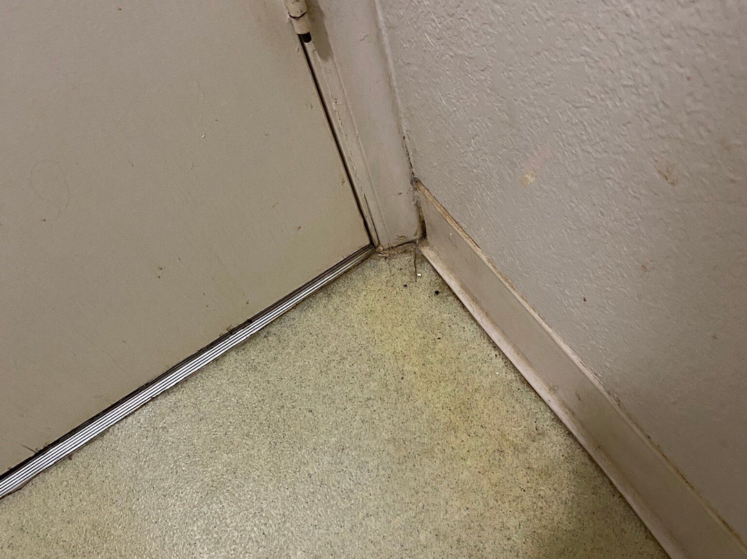 Days Inn by Wyndham Wytheville主图