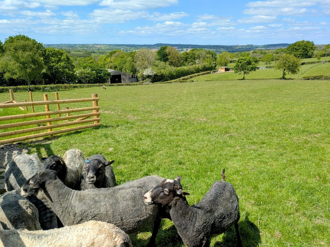 Gotland Gin-Highampton必去景点