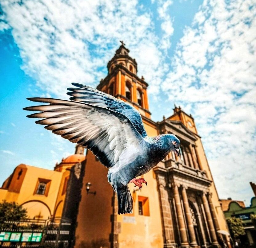 Parroquia San Juan Bautista-San Juan del Rio必去景点