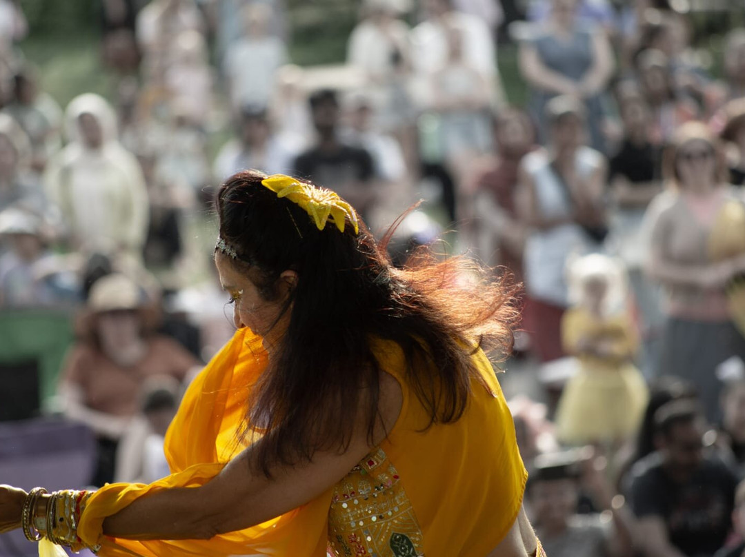 Indigo Bollywood Dance Academy-莫里斯维尔必去景点