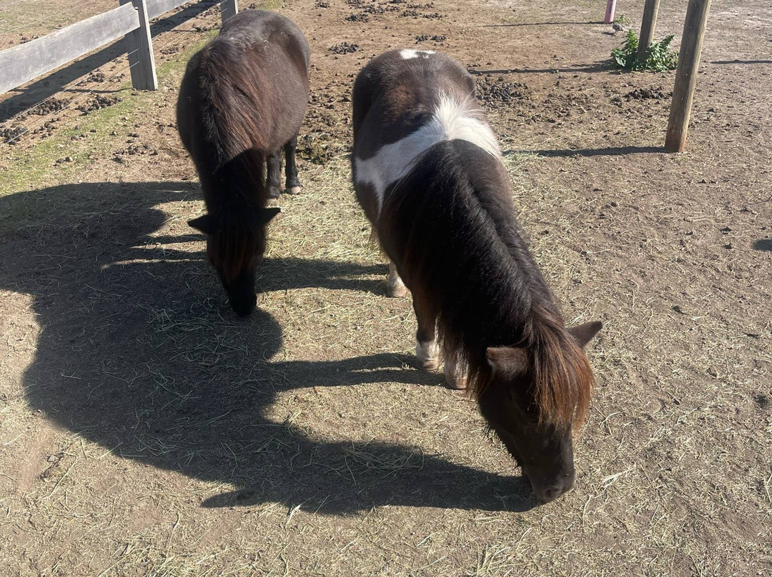 缪纳农场-墨尔本必去景点