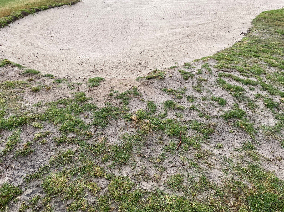 San Lorenzo Golf Course景点图片