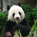 wong0103