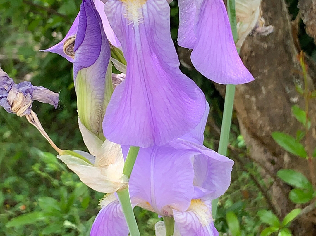 Casa di Monte-蒙特斯佩托利必去景点