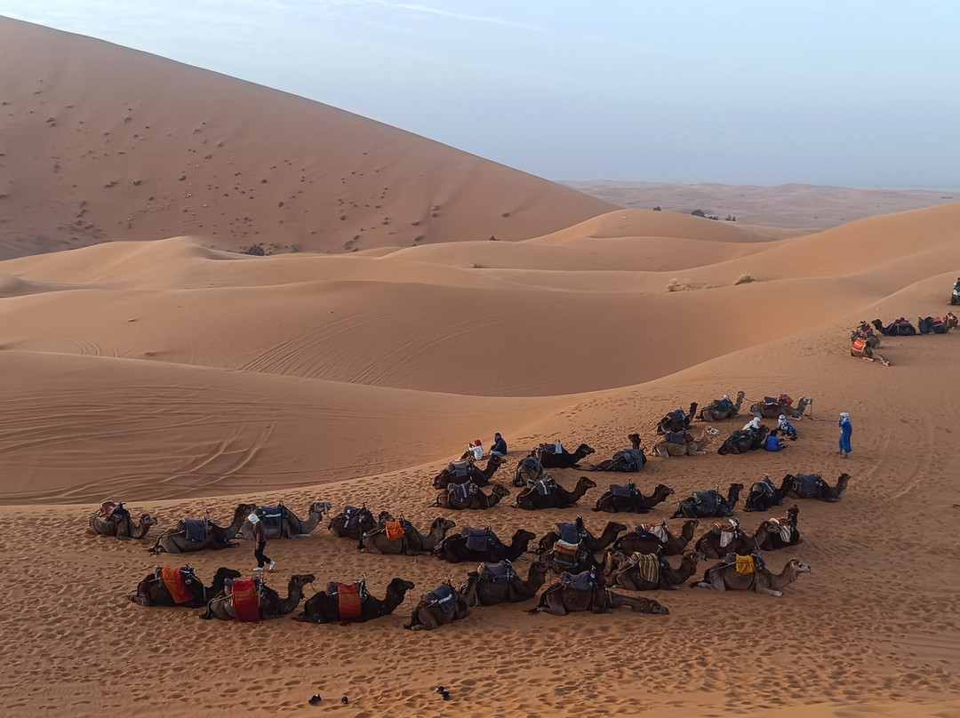 Marvelous Morocco-卡萨布兰卡必去景点