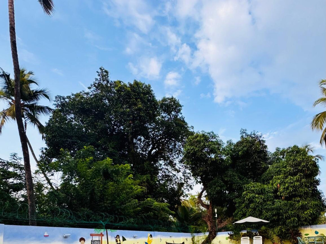 Treehouse Blue Hotel & Villas主图