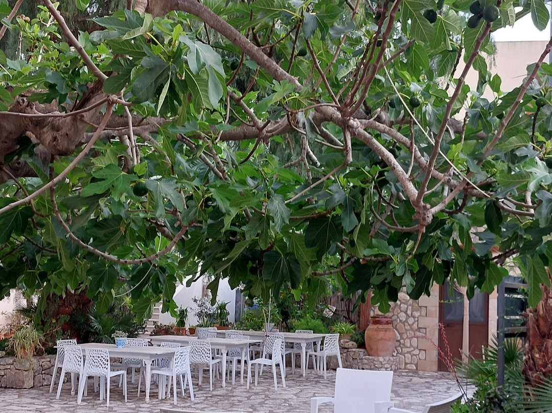 Hotel Il Cortile主图