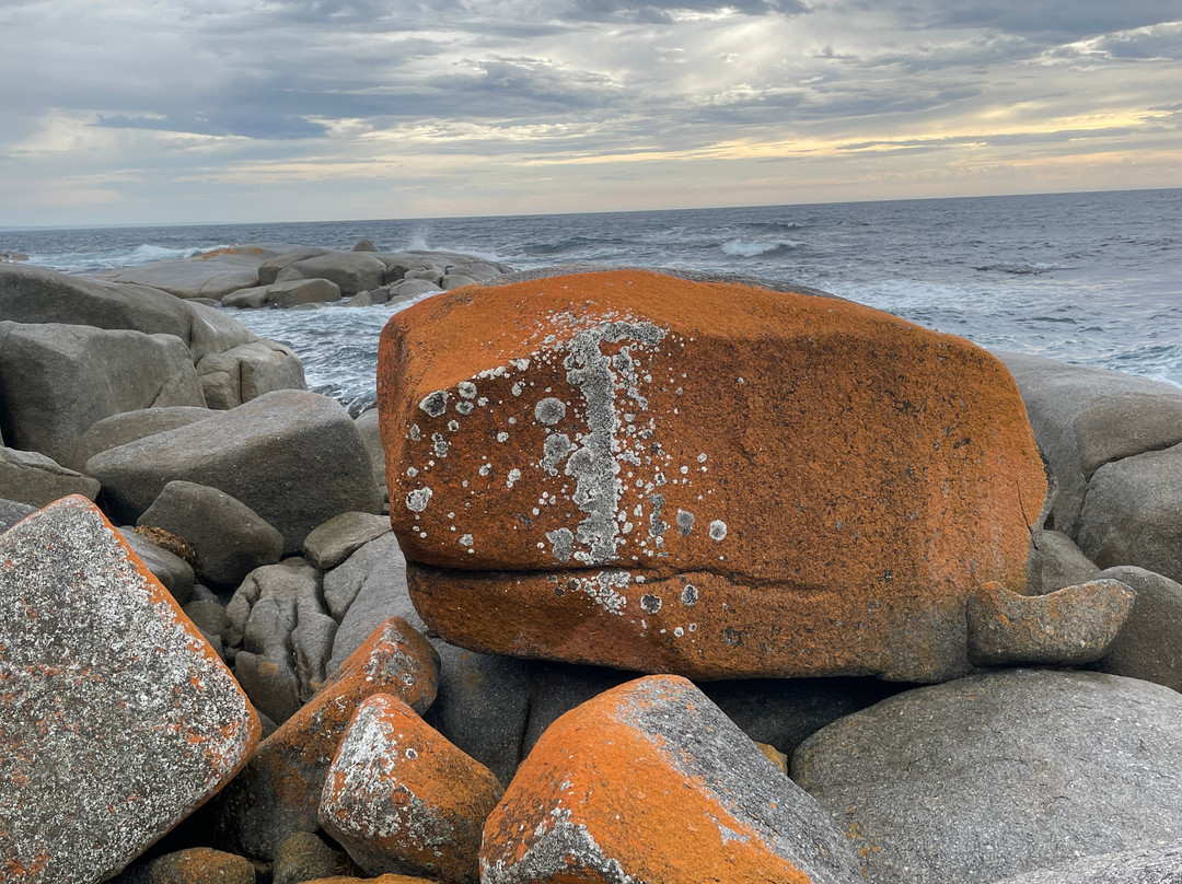 Skeleton Bay To Skeleton Point