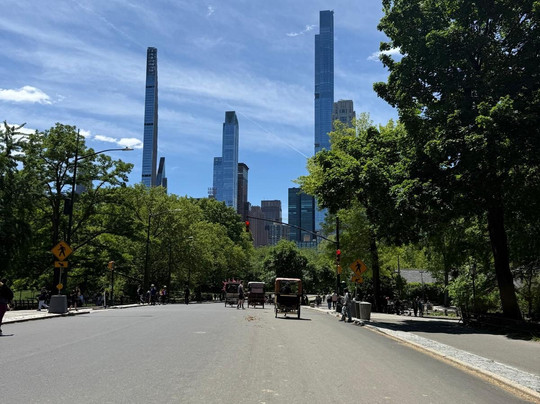 #1 Central Park Pedicab Tour-纽约市必去景点