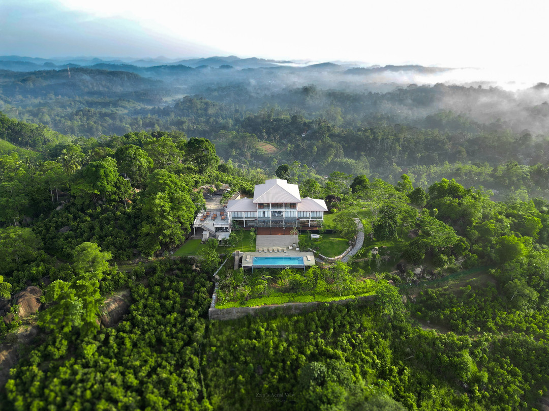 Ligness Green Odyssey