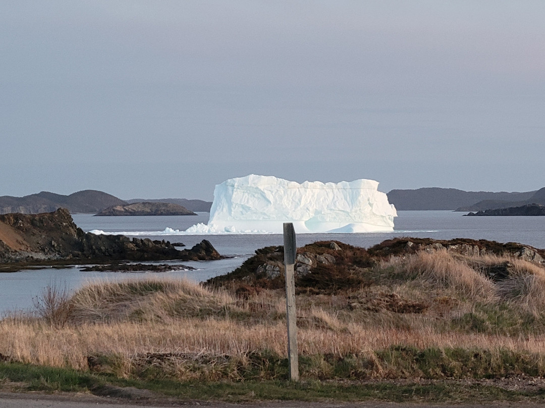 Grand Old Shed Party Show-Twillingate必去景点
