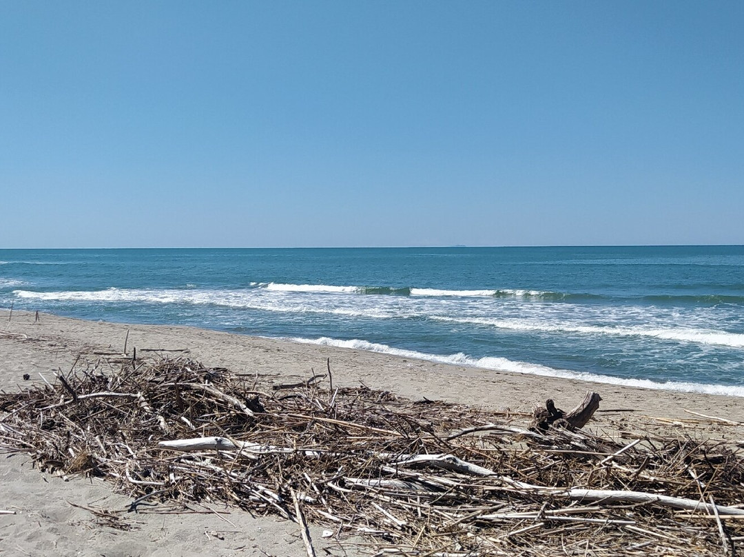 Spiaggia Della Lecciona-维亚雷焦必去景点