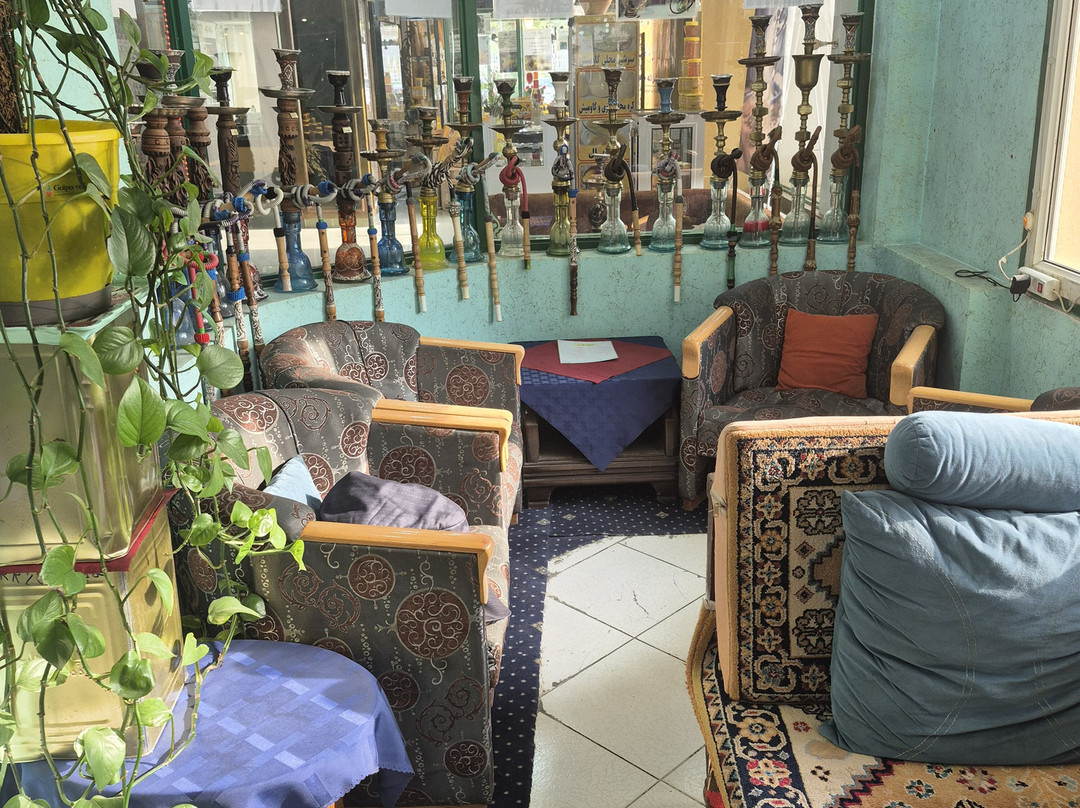 International Hotel Laleh Sarein主图