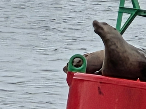 Alaska Tales-朱诺必去景点