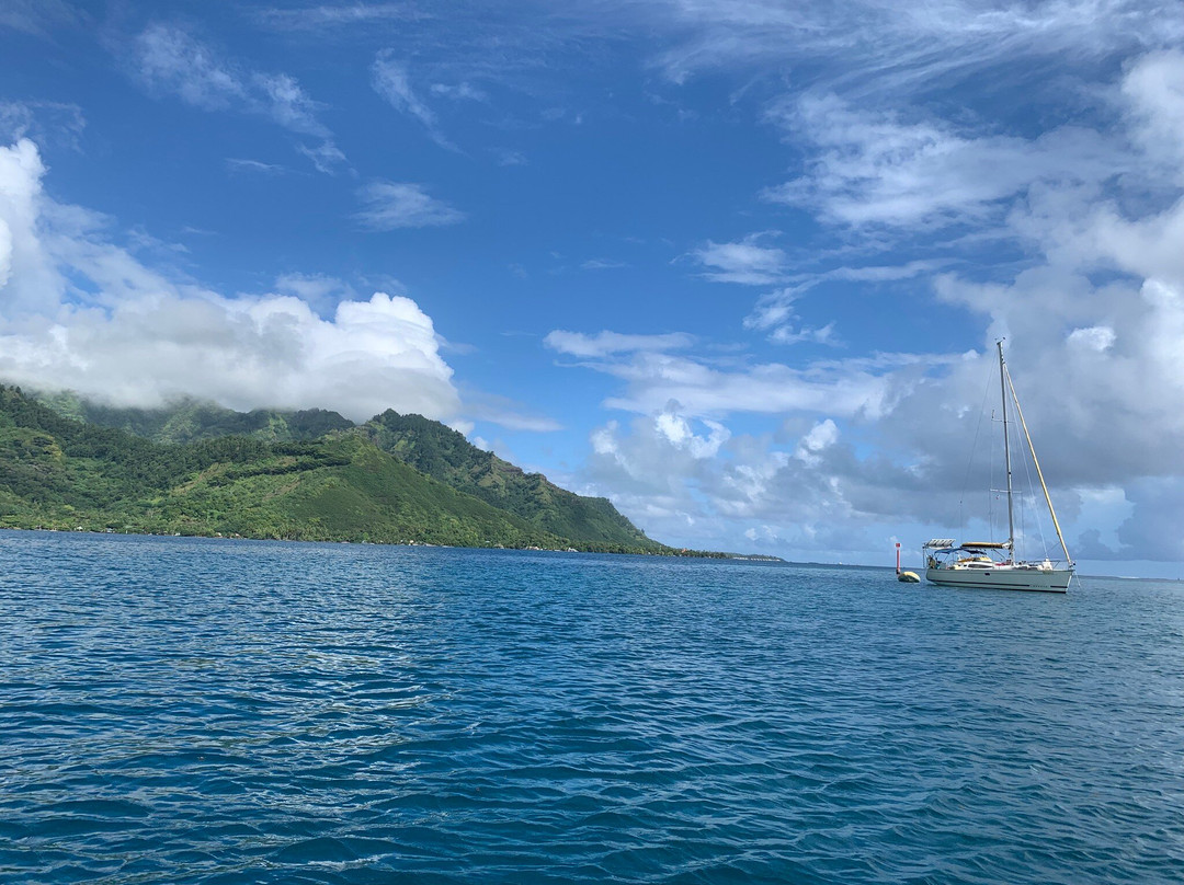 Moorea Tiki Tour-Paopao必去景点