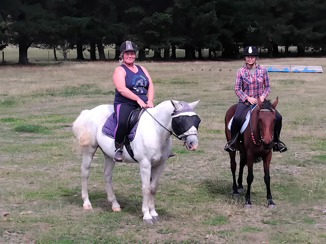 Rolleston Horse Riding Centre-基督城必去景点