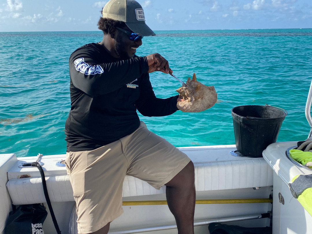 Horseshoe Reef-Anegada必去景点