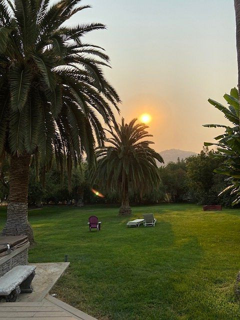 种植园住宿加早餐酒店主图