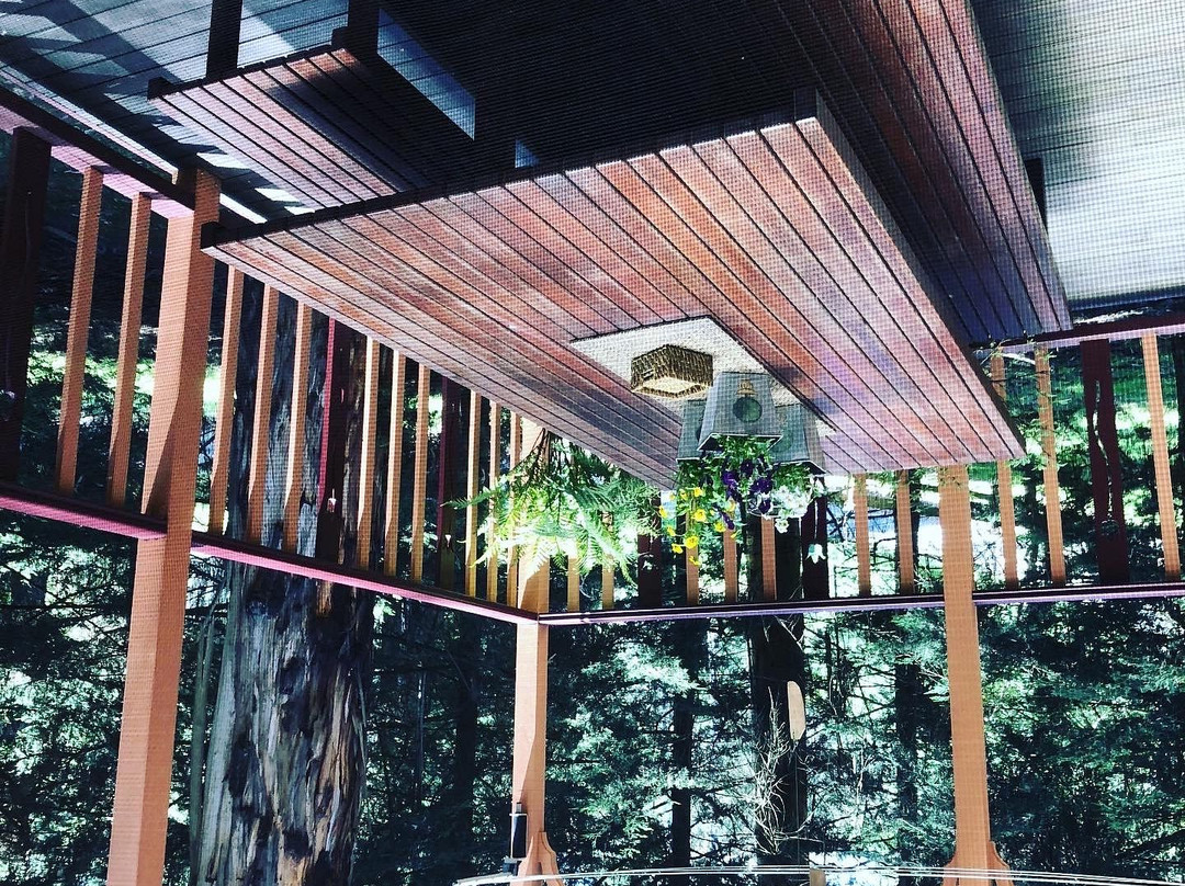 Whistle-Stopover主图