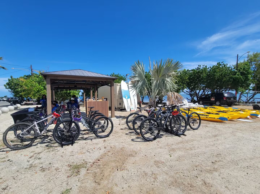 Playa Los Machos-Ceiba必去景点