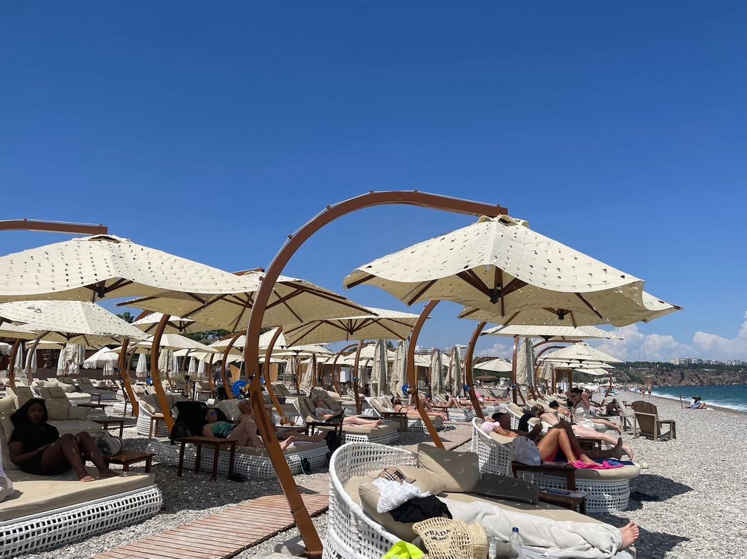 Kalypso Beach Club景点图片