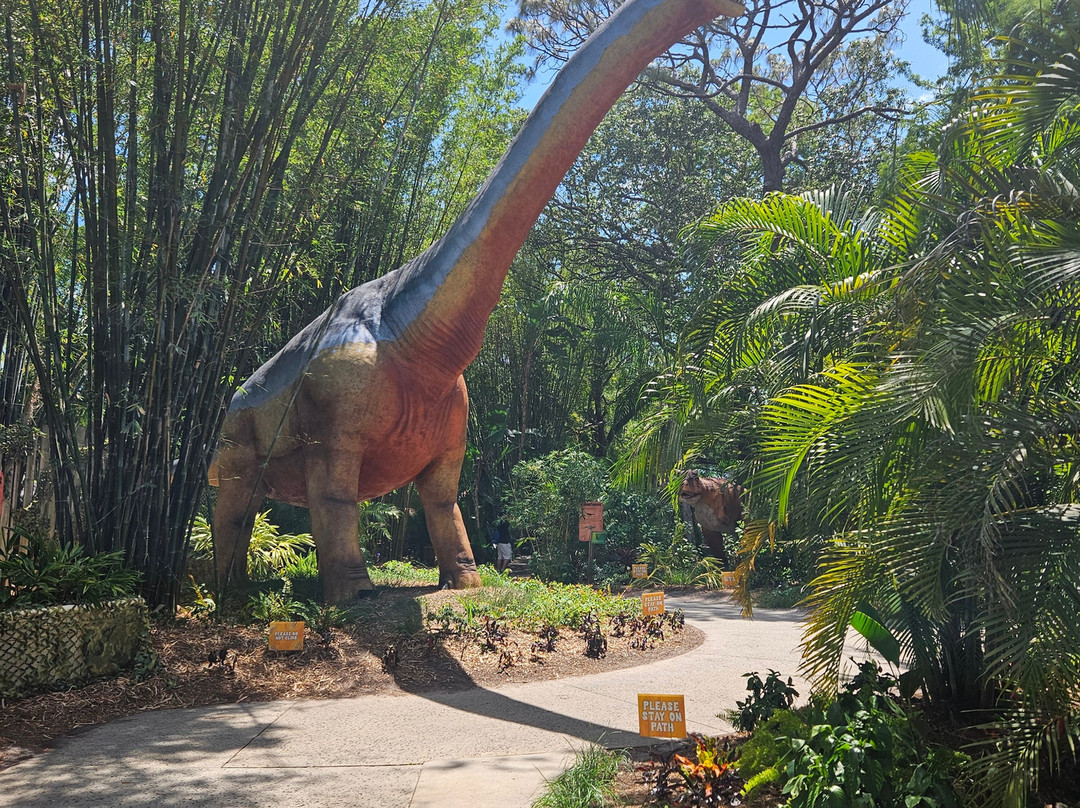 罗瑞公园动物园-坦帕必去景点