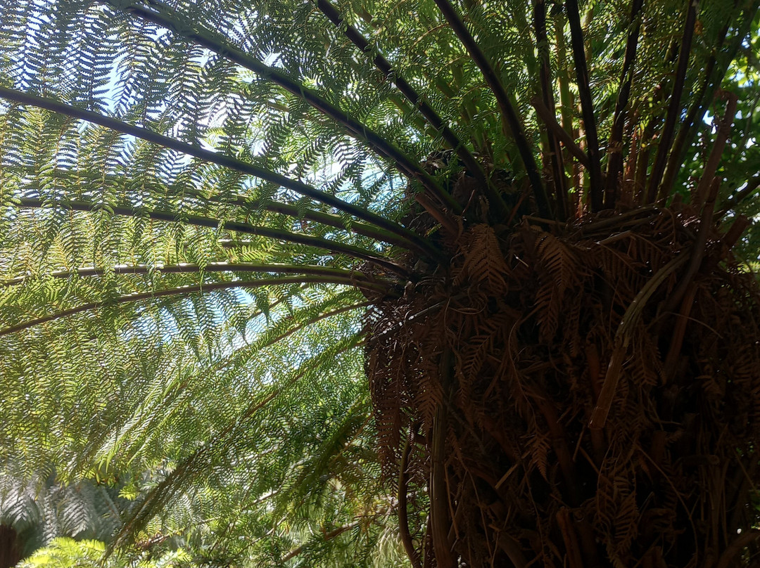 University of Bristol Botanic Garden-布里斯托尔必去景点