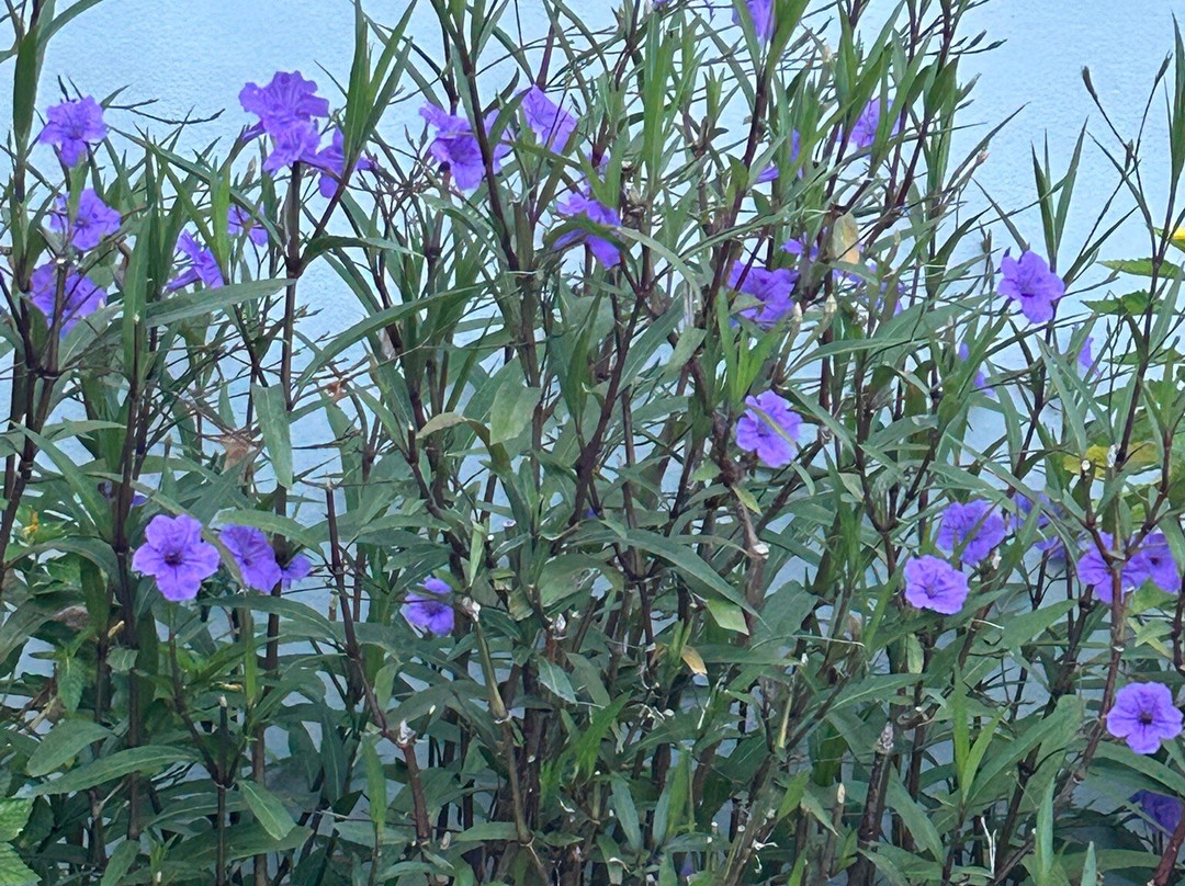 Hotel La Christophine主图