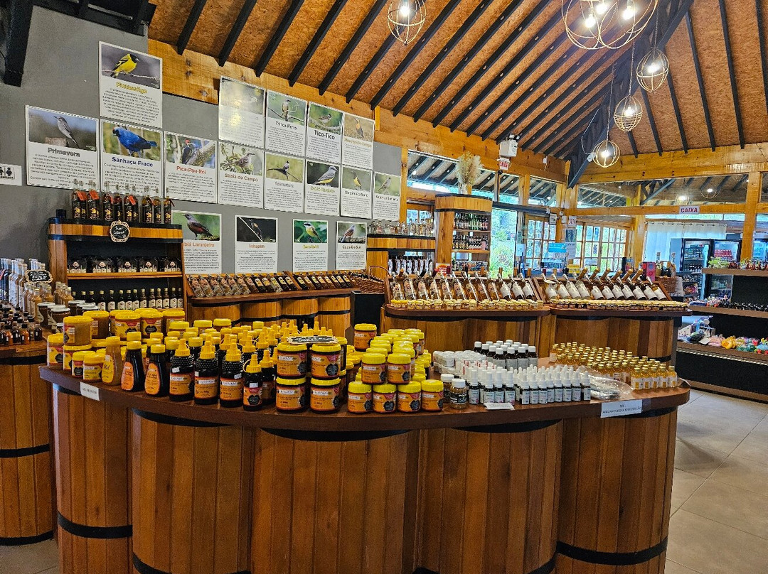 Eco Parque Cachoeira Papuã-Urubici必去景点