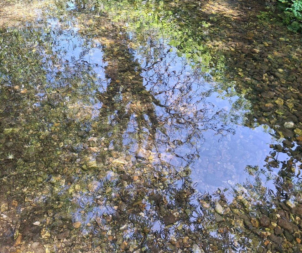 Langford Lakes Nature Reserve-Steeple Langford必去景点