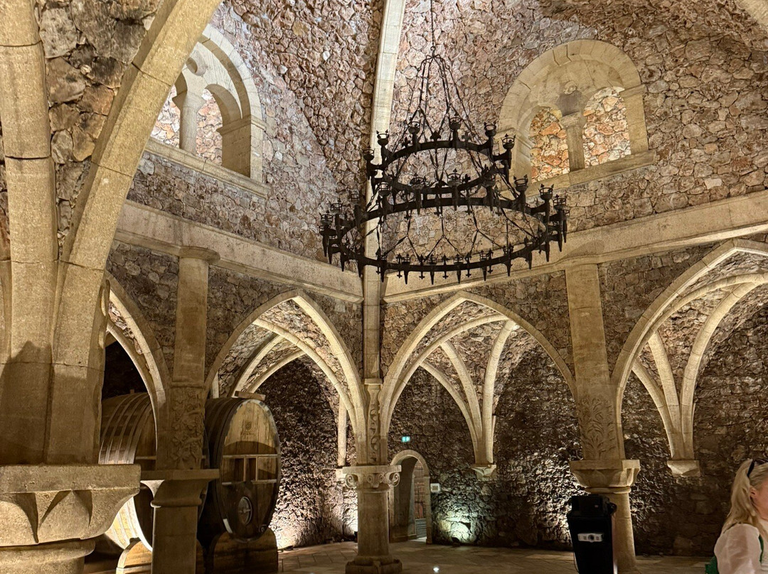 Chateau Font du Broc景点图片