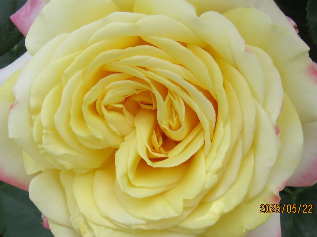 Biwako Otsukan-大津市必去景点